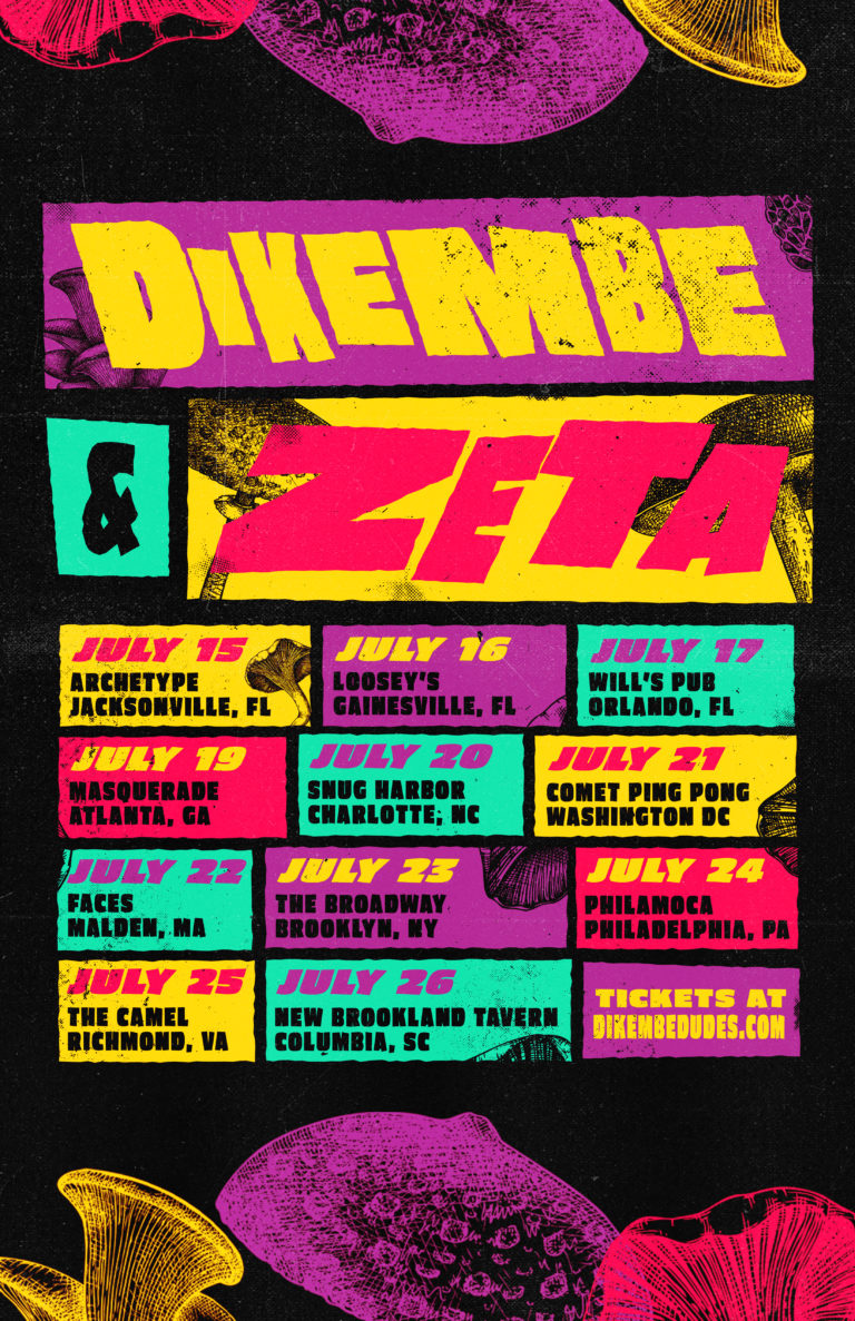 Dikembe + Zeta poster
