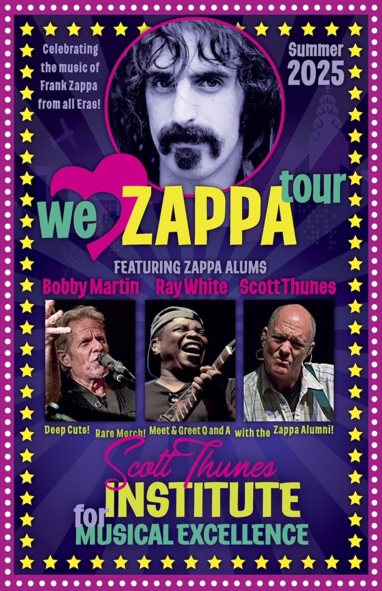 WE LOVE ZAPPA TOUR poster
