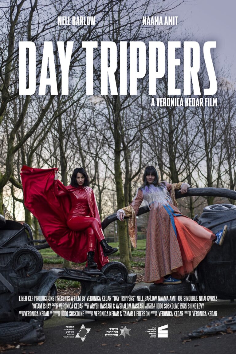 DAY TRIPPERS poster